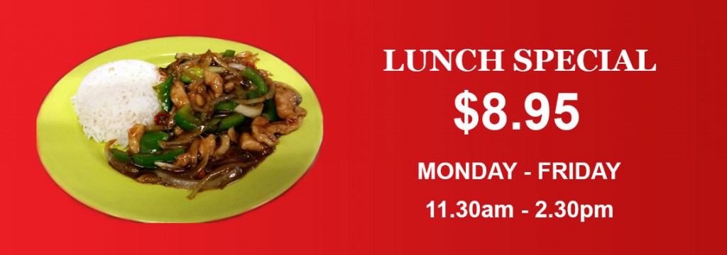 Lunch Special – Dragon House Indian Chinese Restaurant